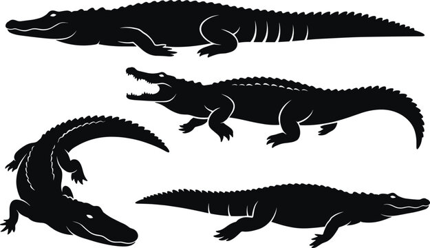 Alligator and crocodile silhouette vector illustration set, reptile icons with dynamic poses representing wildlife, predator and nature theme - flat vector illustration