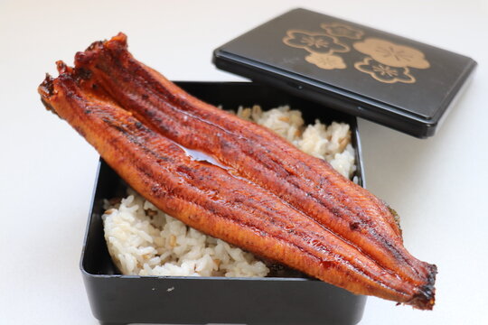 漆塗りの重箱に盛られたご飯と蒲焼きうなぎのうな重と蓋