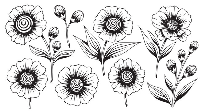 Hand-drawn outline illustration of multiple flowering plants with buds and leaves in black and white background line art botanical isolated
