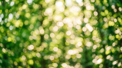 Obraz premium Vibrant green foliage shimmering with warm sunlight creating a dreamy, soft-focus bokeh effect in a peaceful natural setting, evoking tranquility