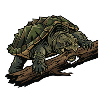 A fierce snapping turtle illustration, capturing the powerful freshwater reptile's ancient charm and strength as it carefully climbs a rustic tree branch