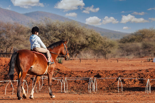 Young Girl Learning to Ride a Bay Horse in Outdoor Arena childhood development and equestrian training