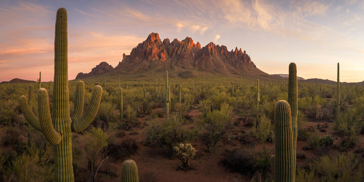 Aerial view of Ironwood Forest National Monument featuring numerous Saguaro cacti and jagged mountain peaks under a golden sunset sky in Tucson, Arizona, United States.