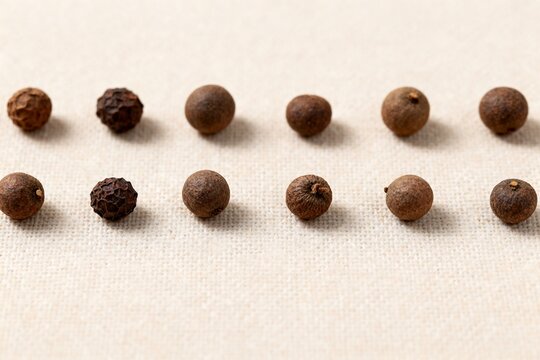 Assortment of Peppercorns and Spices Arranged in Rows