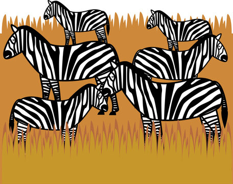A vector art of a group or dazzle of zebras in the grassland of Africa. 