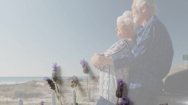 Senior couple embracing at dunes, overlay fading up over them with lavender, evoking retirement