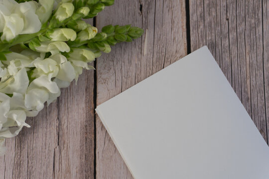 White snapdragons rest beside a blank notebook. Wooden planks show gentle weathering and texture. Clean page invites thoughts, ideas, or creative writing