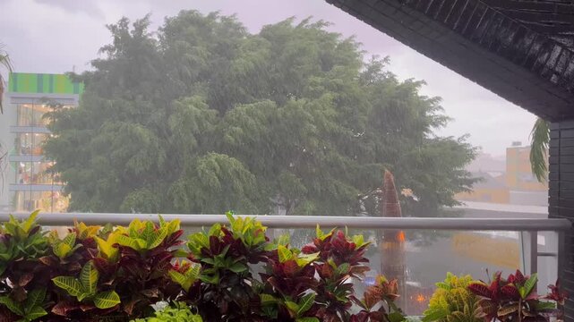 Tropical Storm and Heavy Rain View from Inside a Shopping Mall
