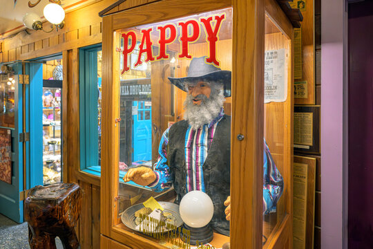General view of "Pappy," a famous animated fortune teller statue located inside the Wall Drug Store in Wall, South Dakota, July 8 2025.. 