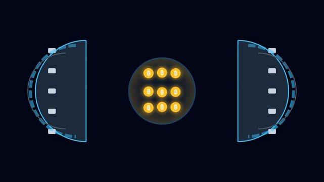 Secure Digital Crypto Wallet Vault Unlock