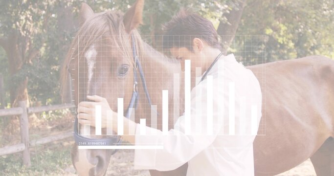 Holding brown horse, vet in lab coat and stethoscope touching foreheads in paddock, grid overlay