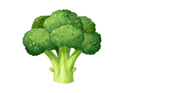 watercolor broccoli illustration, fresh green vegetable, healthy food artwork, organic broccoli painting, botanical vegetable design, farm fresh broccoli, leafy green ingredient, vegan food illustrati