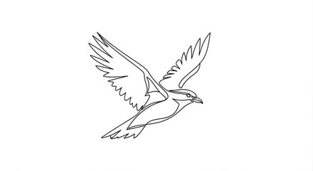 Fototapeta premium Minimalist Single Line Drawing Of A Bird In Flight With Wings Spread Wide