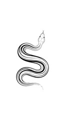 Fototapeta premium Serpentine silhouette elegant outline on dark backdrop