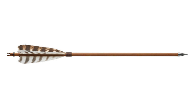A close-up view of an arrow with a detailed feathered fletching and a sharp arrowhead isolated on transparent background