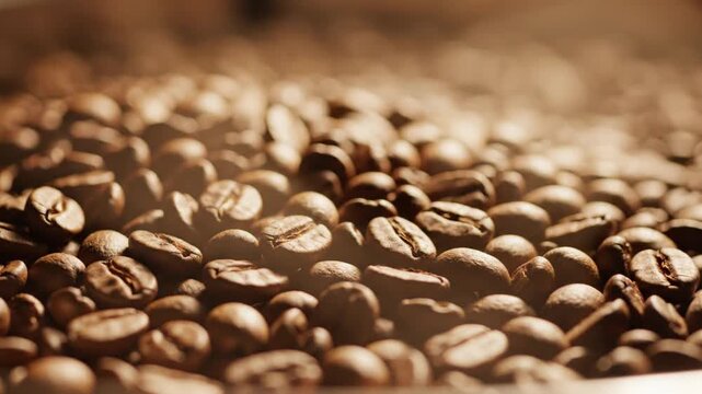 Close-up of freshly roasted coffee beans with steam rising, perfect for a morning brew.