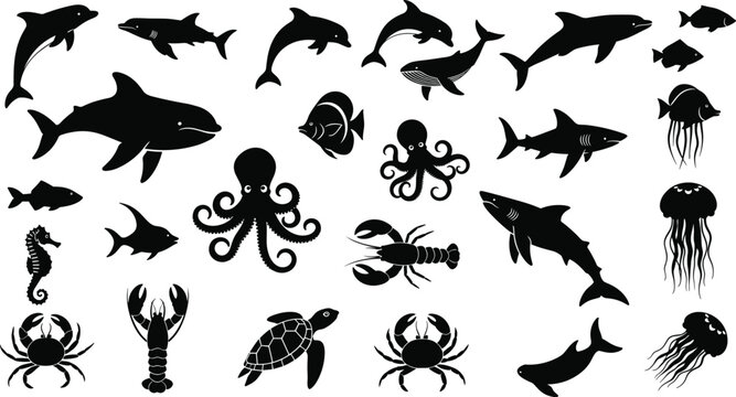 Marine life silhouette collection featuring sea animals like sharks dolphins octopus and fish