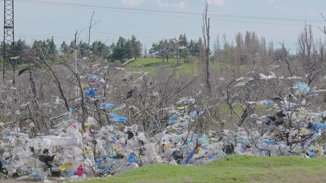 Trees Covered in Windblown Plastic Trash