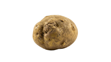 Fototapeta premium Single Raw Potato Close Up Isolated on White Background