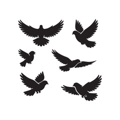 Fototapeta premium Set of 6 Black Flying Dove and Pigeon Silhouettes in Different Flight Poses — Wild Bird Shadow Collection with Open Wings, Soaring, Diving, and Hovering Positions Flat Vector Illustration Isolated 
