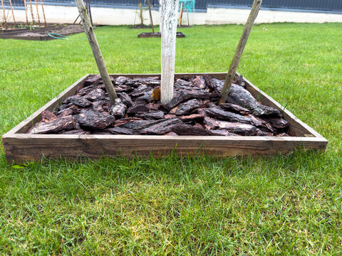 Wooden frame surrounds stone mulch around tree with wooden stakes in grassy yard