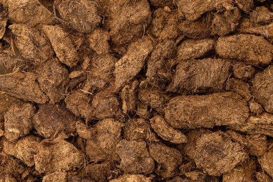 
Close-up of a pile of brown peat soil

