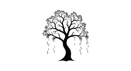 Fototapeta premium Stylized weeping willow tree silhouette with cascading branches against a stark white background.