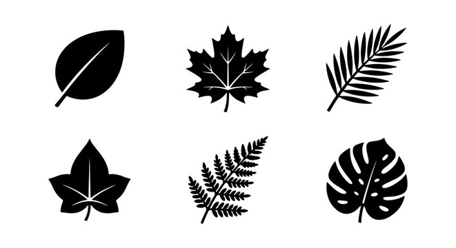 Black Silhouette Leaf Icons Set, Botanical Vector Graphics, Nature Elements Collection, Organic Shapes for Design