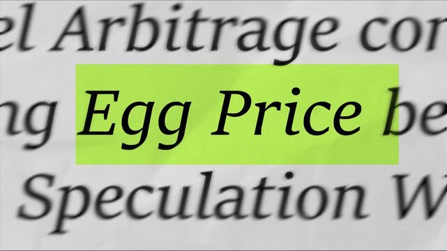 Highlighting the words Egg Price on printed document, macro focus text concept for food inflation, grocery cost, farming and household budget video

