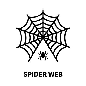 Illustration of a Spider Web with a Small Spider.