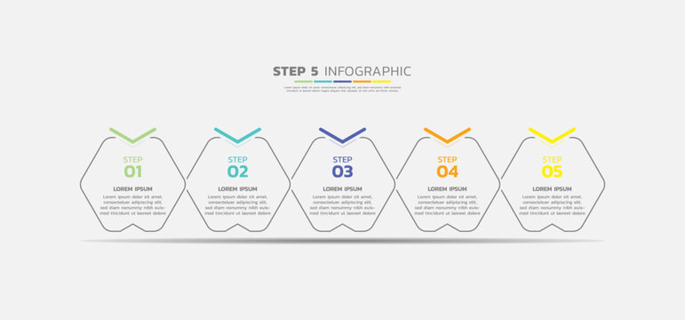 Presentation business abstract background infographic template colorful step 5