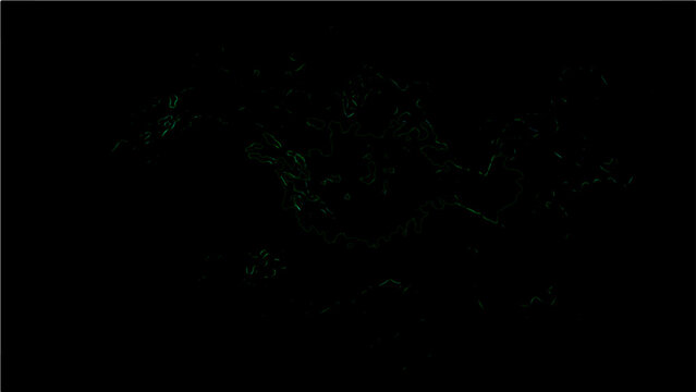 Abstract Vector Ephemeral Luminescence within the Gloom Subtle botanical details of flora, dimly lit under the shroud of night. 