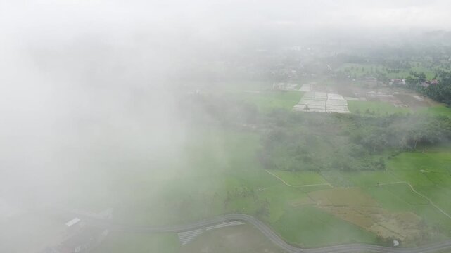Aerial view using drone, village and rice field atmosphere from the cloud, in West Sumatra, Indonesia