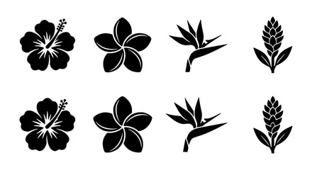 Tropical Exotic Flower Silhouette Set with Hibiscus, Plumeria, and Bird of Paradise Icons © Arif