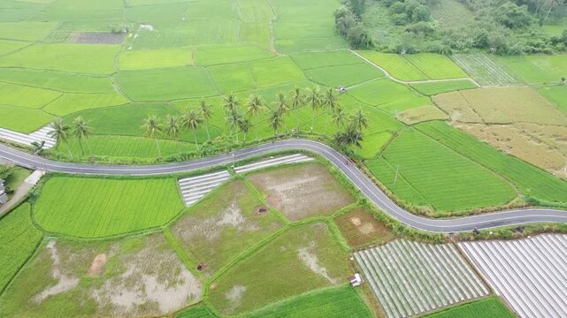 Aerial view using drone, highway between rice fields, in West Sumatra, Indonesia