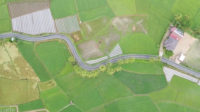 aerial view of the highway betwen a rice field