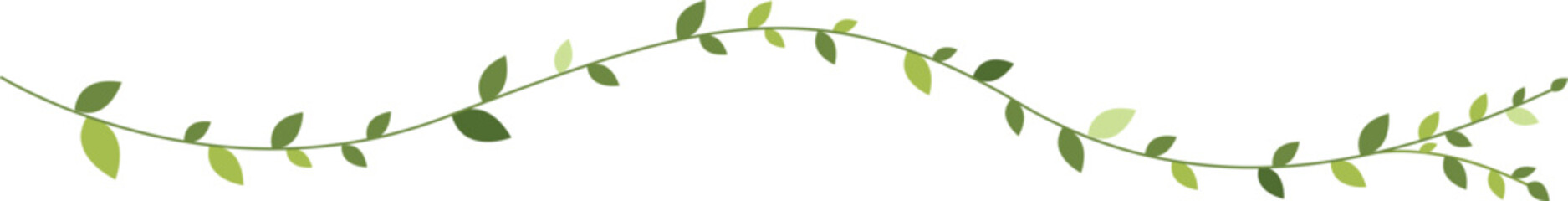 An elegant horizontal green vine illustration featuring delicate wavy branches and various shades of green leaves © SOMONG-D