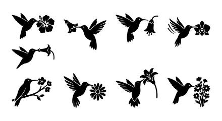 Hummingbird Vector Icons, Delicate Silhouettes of Birds with Flowers, Elegant Nature Graphics, Minimalist Wildlife Set © Raihan