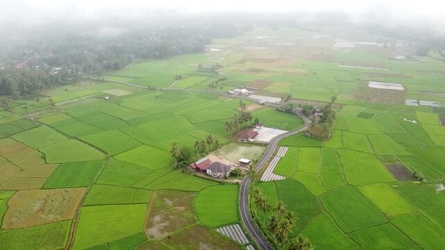 Aerial view using drone, rice fields and small villages, in West Sumatra, Indonesia