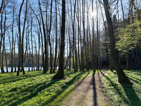 The educational pathway around the Lake Trakoscan 'Faerie Path' (Croatia) - Poučna staza Put Vila ili staze za &scaron;etnju i rekreaciju oko Trako&scaron;ćanskog jezera (Hrvatsko Zagorje, Hrvatska)