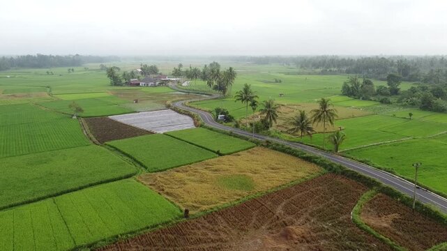 view of the countryside, in west sumatera, indonesia