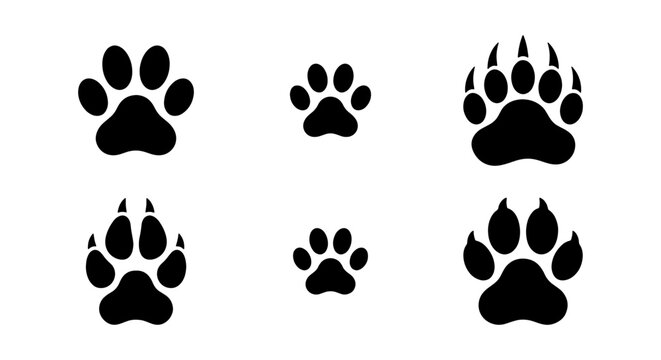 Set of Animal Paw Prints and Wildlife Tracks Silhouette Vector Illustrations