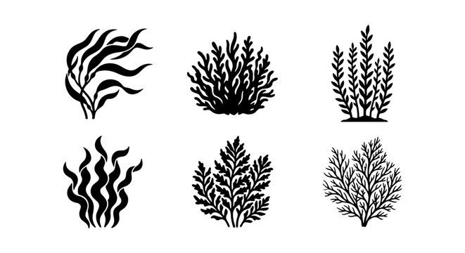 Black and White Seaweed Vector Icons, Underwater Plant Silhouettes, Marine Algae Graphics for Ocean Themes