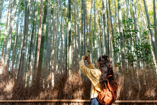 Young female tourist taking a photo of the Bamboo forest at Arashiyama in Kyoto, Japan