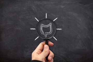 Colon anatomy illustration under magnifying glass on chalkboard background, digestive health concept, human organ study, medical education and analysis © Wiwi