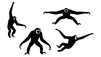 Four black monkey silhouettes in various poses © Rayhan Studio 