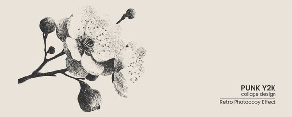 Handdrawn cherry blossom branch illustration with a vintage photocopy texture, artistic botanical sketch in a retro punk y2k aesthetic style © MDMahmudul