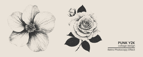Vintage botanical illustration set with handdrawn hibiscus flower and rose sketch with retro photocopy texture effect © MDMahmudul