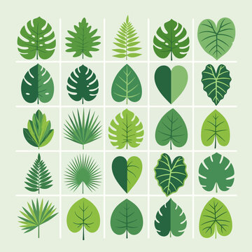 Collection of various green tropical leaves.