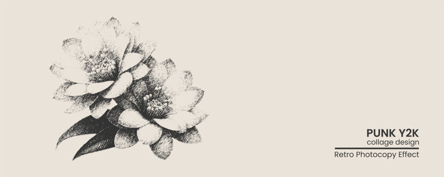 Vintage floral illustration with a retro photocopy texture, featuring two blooming camellia flowers in a sketch style on a light beige background